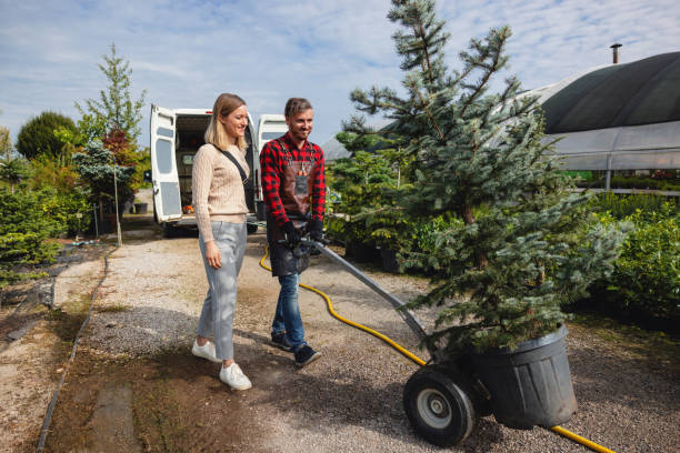 Best Tree Stump Removal  in Ridgeland, SC